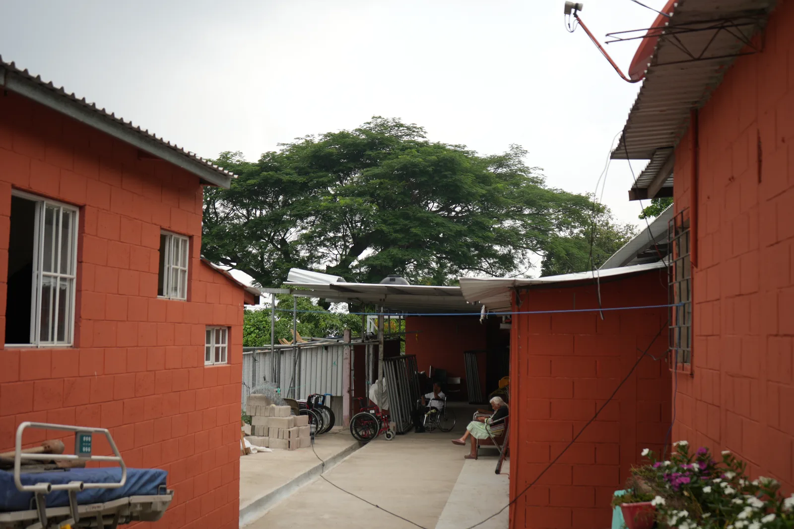 The home's central courtyard, with the large shade tree.