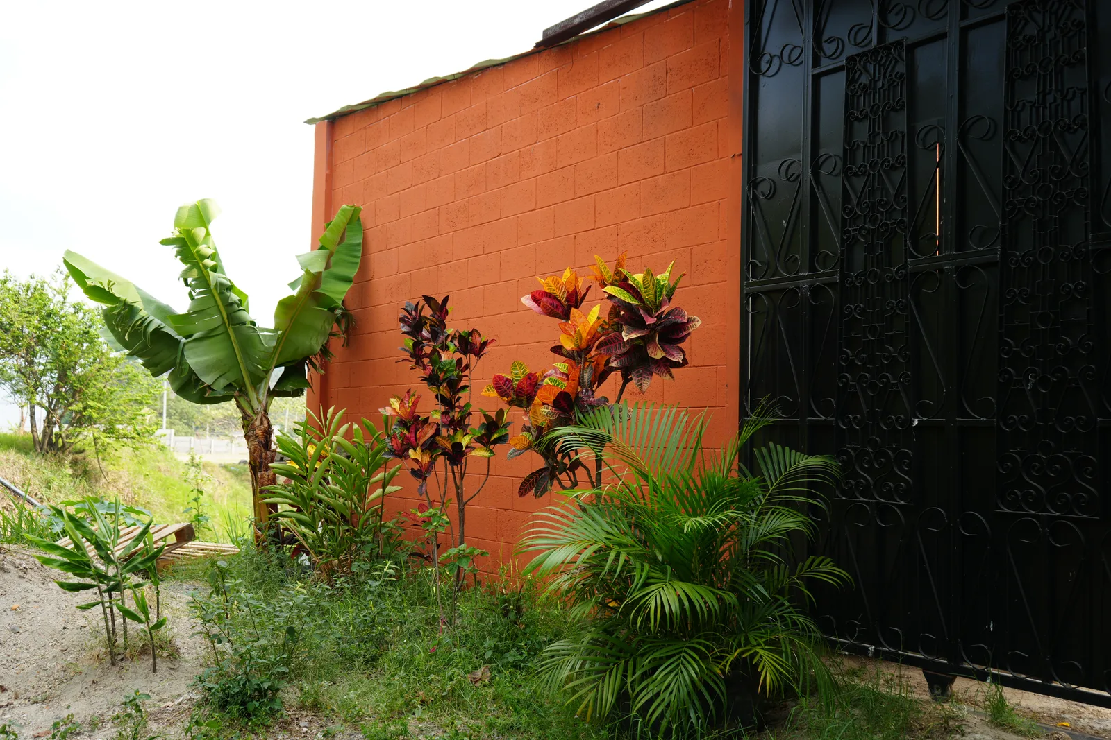 A side wall and the back gate, peaceful and well-kept.